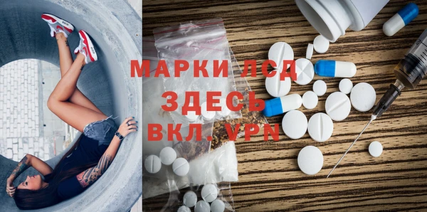 PSILOCYBIN Армянск