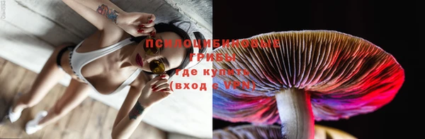 PSILOCYBIN Армянск